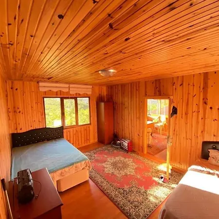 Bahcede Ahsap Bag Evi Ve Cardak بيت للعطل *
