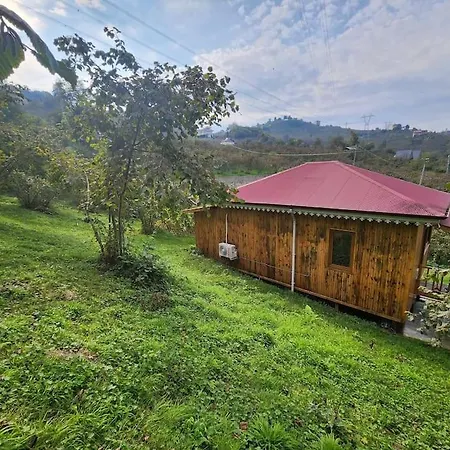 بيت للعطل Bahcede Ahsap Bag Evi Ve Cardak *