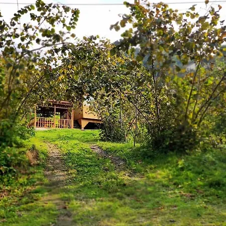 Bahcede Ahsap Bag Evi Ve Cardak